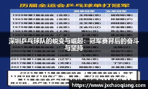 深圳乒乓球队的蜕变与崛起：冠军赛背后的奋斗与坚持