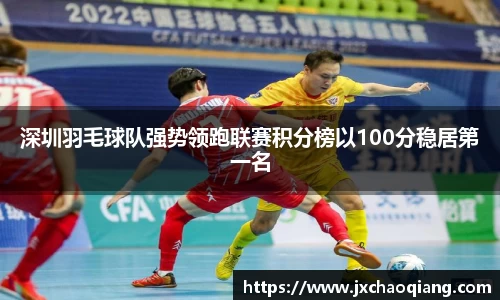 深圳羽毛球队强势领跑联赛积分榜以100分稳居第一名